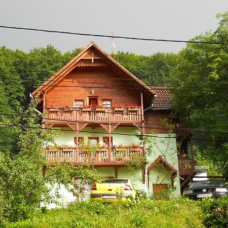 Vila Anna Sovata Exterior foto