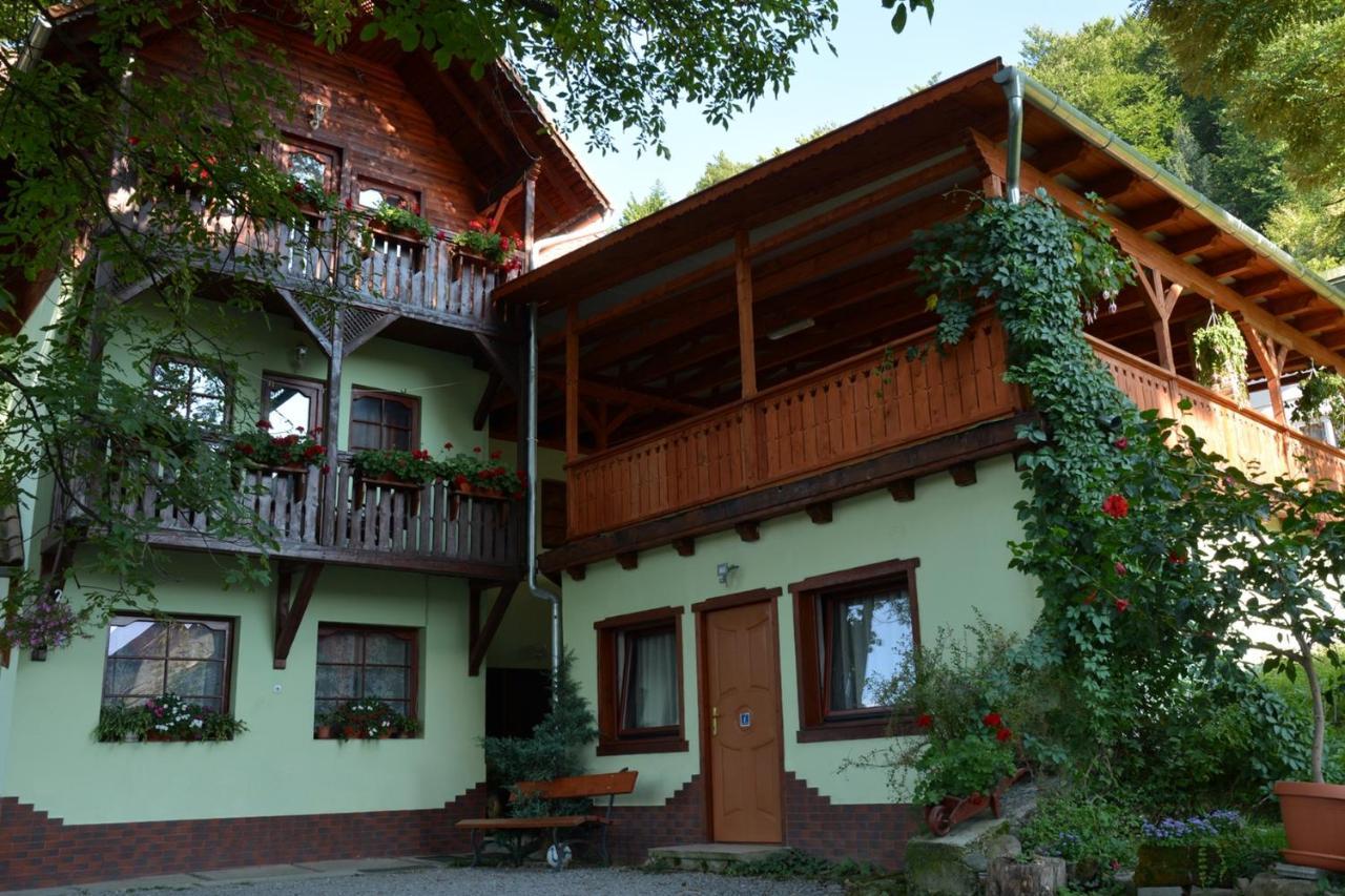Vila Anna Sovata Exterior foto