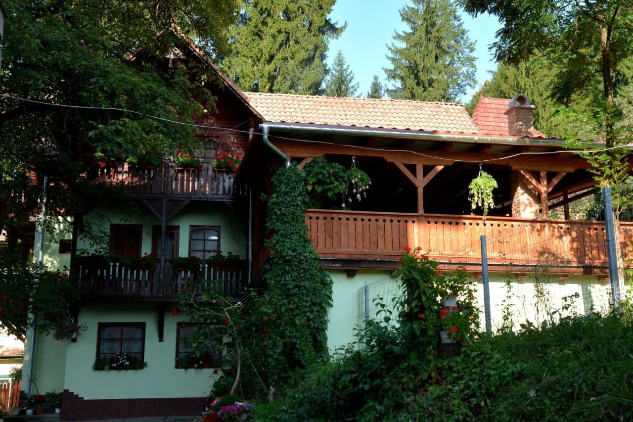 Vila Anna Sovata Exterior foto